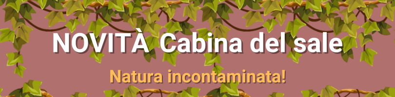 Sauna finlandese regina 18 accessoriata di diffusore cristalli di sale